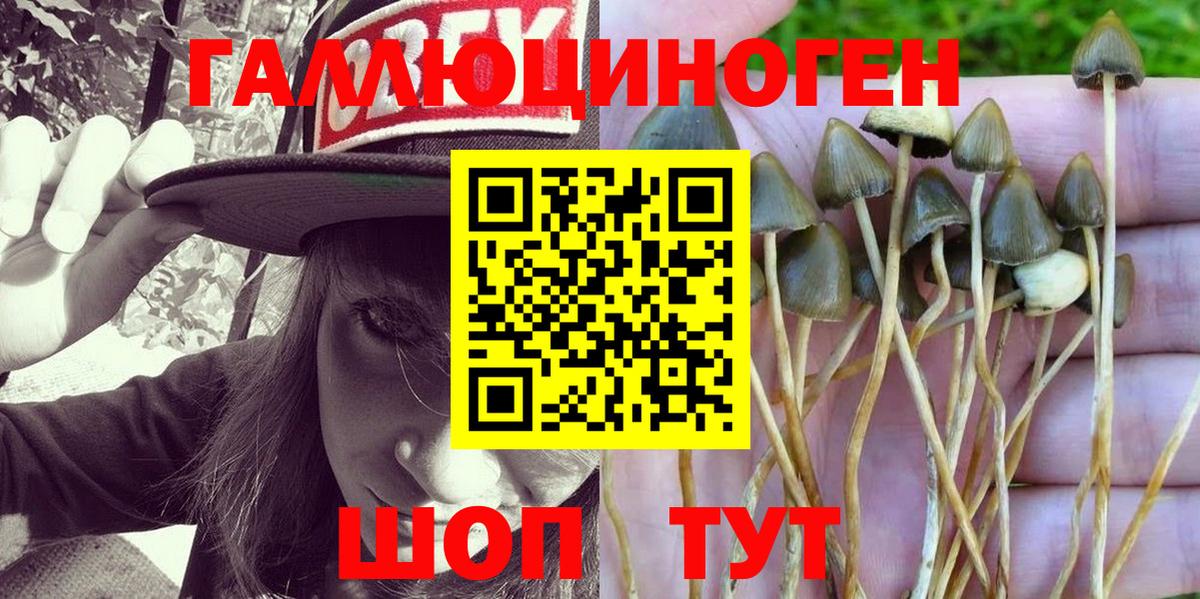 Галлюциногенные грибы GOLDEN TEACHER  купить наркоту  Лабытнанги  Вход с VPN 