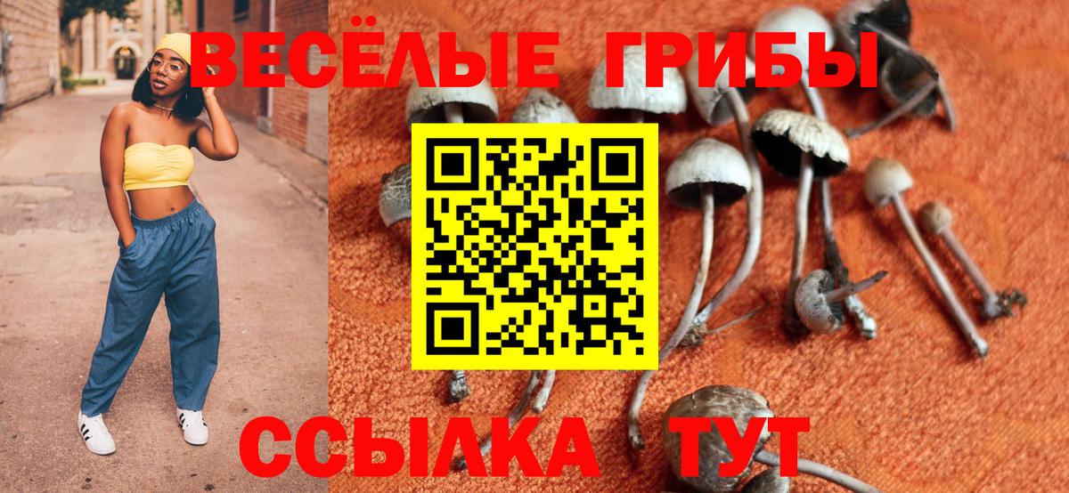 Псилоцибиновые грибы Cubensis Лабытнанги